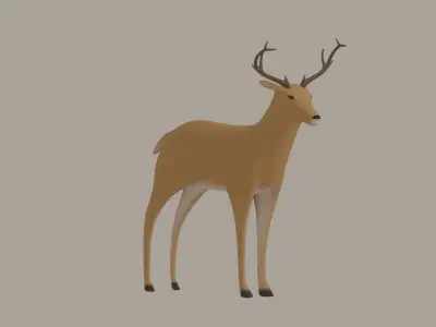 Deer model 3D model