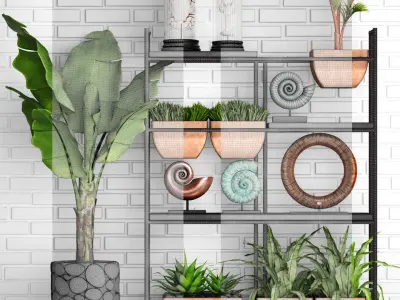 Decorative Set potted plants on shelf 3D model