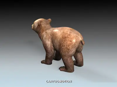 Baby Bear Low-poly 3D model
