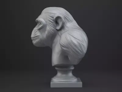 Ape Bust - Animal Figurine 3D print model