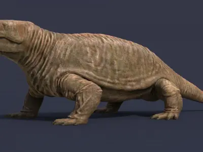 Diadectes sideropelicus Low-poly 3D model