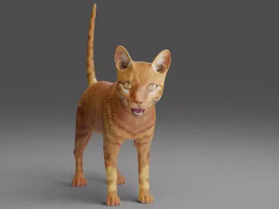 Cat Yellow V3 Rigged Low-poly 3D model