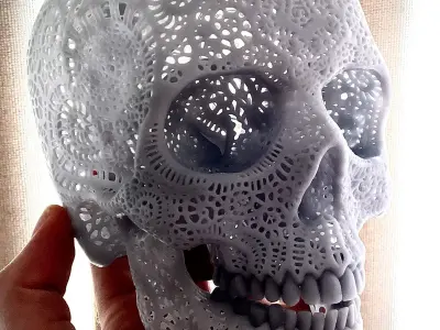 Filigree Anatomical Skull - Pre-supported STL 3D print model