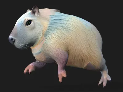 Capybara-A4 3D model