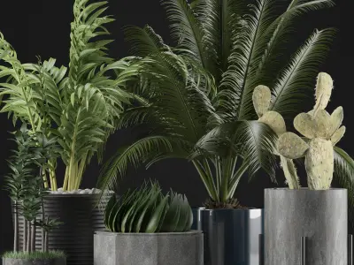 Plants Collection 20 3D model