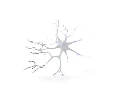 Neuron Network Organic model pack Low-poly 3D model