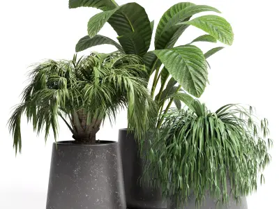 Indoor plant 22 Low-poly 3D model
