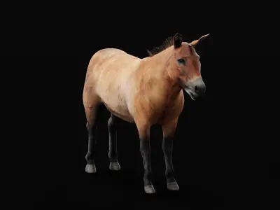 Mongolian Przewalski Wild Horse 3D model