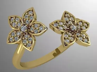 Ring 35 3D print model