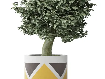 Plants Collection 121 3D model