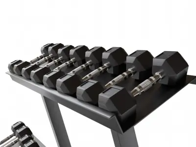Gym Dumbbell Set 005 3D model