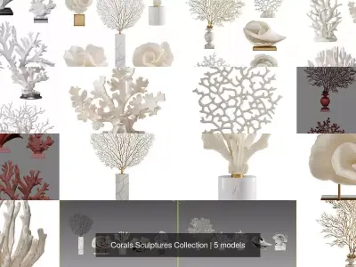 Corals Sculptures Collection