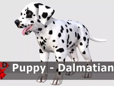 Puppy - Dalmatian Low-poly 3D model