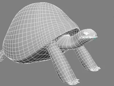 tortoise Low-poly 3D model purchase