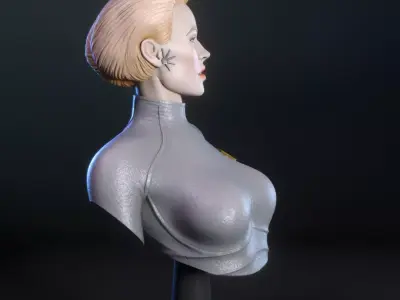 Seven of Nine bust Free 3D print model