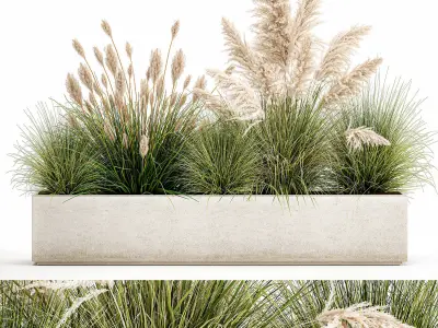 Potted reeds for landscaping 1077 3D model