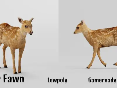 Deer Calf Fawn Animal Low-poly 3D model
