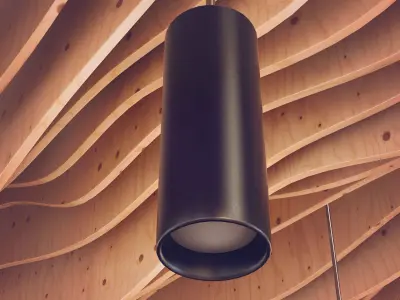Parametric wood Hall ceiling Light 3D model