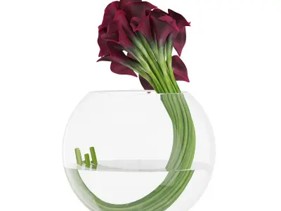 Calla Lilies in Spherical Vase 3D model