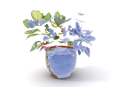 Ornate Leafy Plant model pack Low-poly 3D model