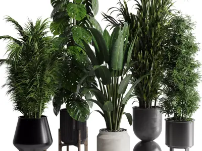 indoor plant set 345 ravenala bamboo monstera palm concrete vase Low-poly 3D model