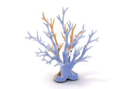 Natural Coral Branch model pack Low-poly 3D model