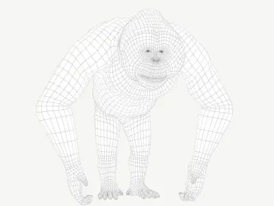 Bornean Orangutan Male Low-poly 3D model