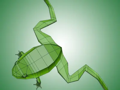 Frog Low Poly Low-poly 3D model purchase