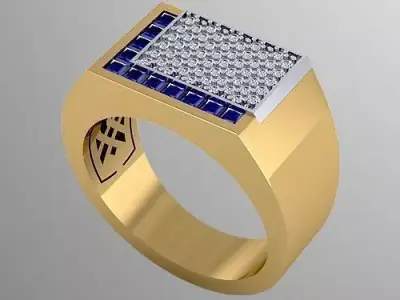 Ring ak 1 3D print model