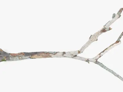 Withered Broken Tree with Roots Low-poly 3D model