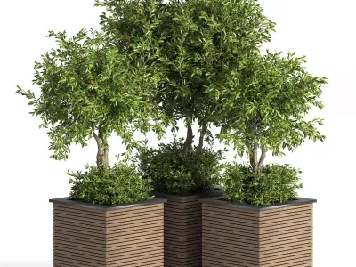 Outdoor Plants tree 10 3D model