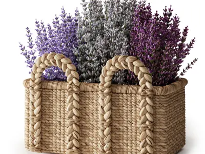 Baskets Set 07 3D model