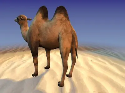 Camel 3D model