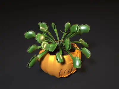 Pumpkin pots 3 3D print model