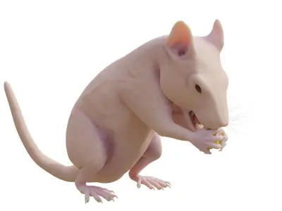 RET FOR VFX CGI 3D model