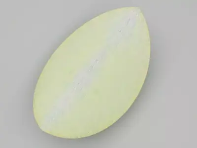 Sliced Green Apple 3D model