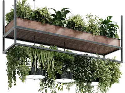 Hanging Plants - pot light - pendant plant - hanging light 563 3D model