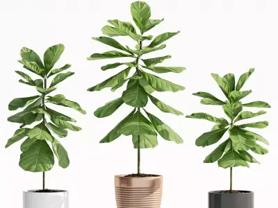 Decorative plant set-59 3D model
