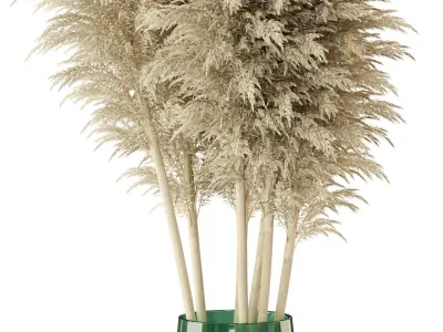 Plants collection 298 3D model