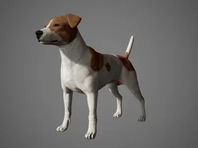 Jack Russell Real-Time Low-poly 3D model