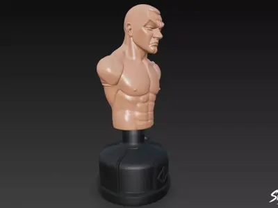 Flesh Punching Dummy Low-poly 3D model