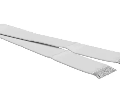 Football Fan Scarf 03 3D model