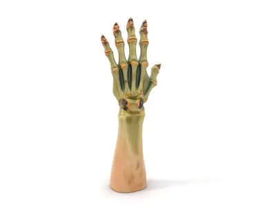 Fantasy Undead Hand Model Pack Low-poly 3D model