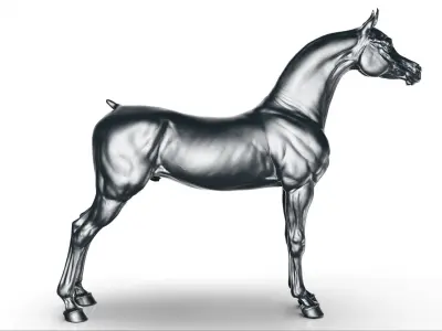 Horse Arabian  -  TPose 3D model