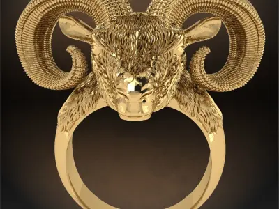 RAM Ring 3D print model