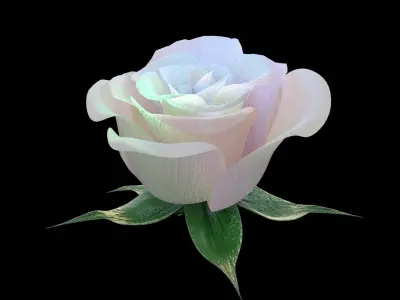 Rose opening animation Glowing Flower Blooming Rose 3D model