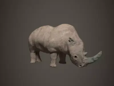 Animal rhinoceros Low-poly 3D model