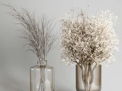 Dry Bouquet Collection 05 Dried autumn plants and flowers 3D model