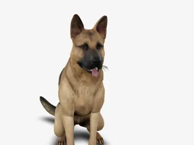dog German Shepherd Low-poly 3D model
