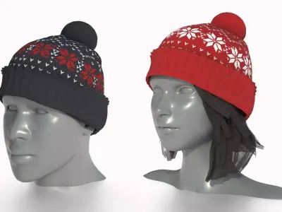 UNISEX WINTER HAT WITH POMPOM Low-poly 3D model